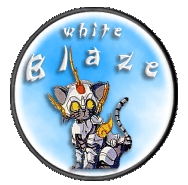 Chibi White Blaze