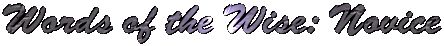 Words of the Wise: Novice